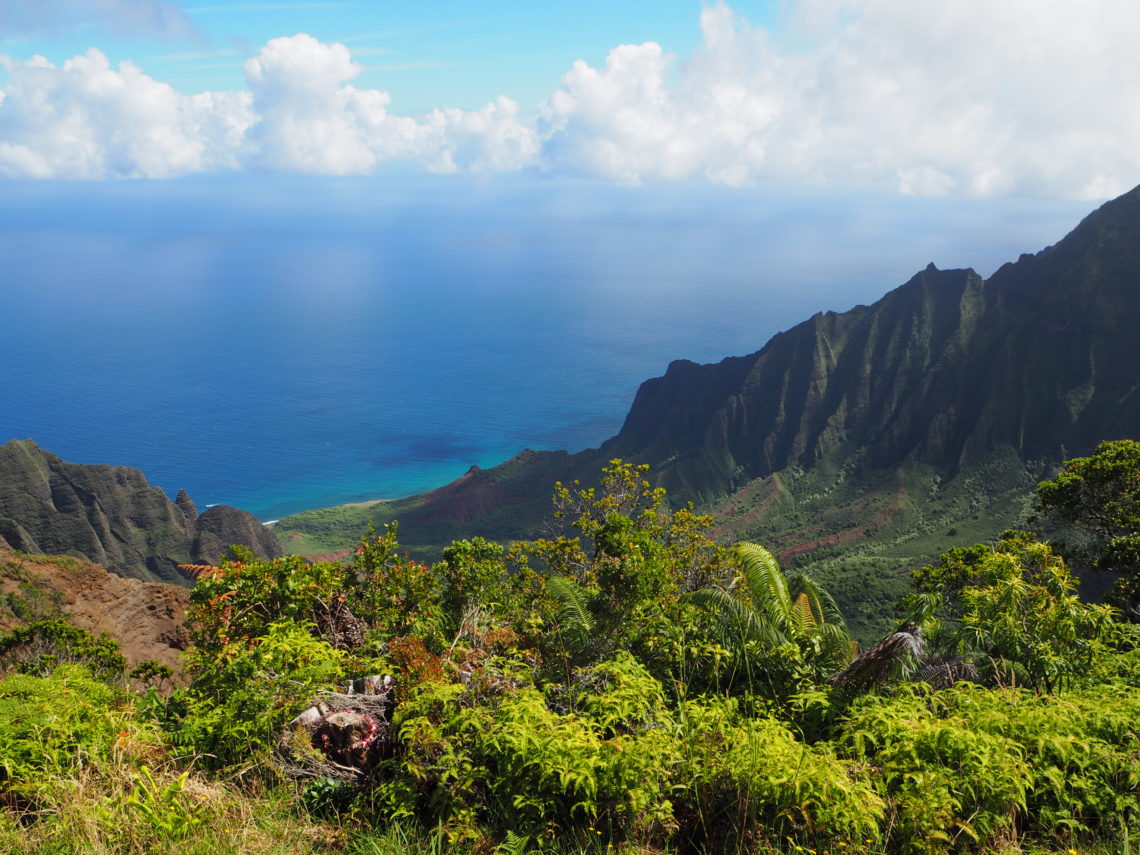 Wunderschöne Landschaft auf Kauai