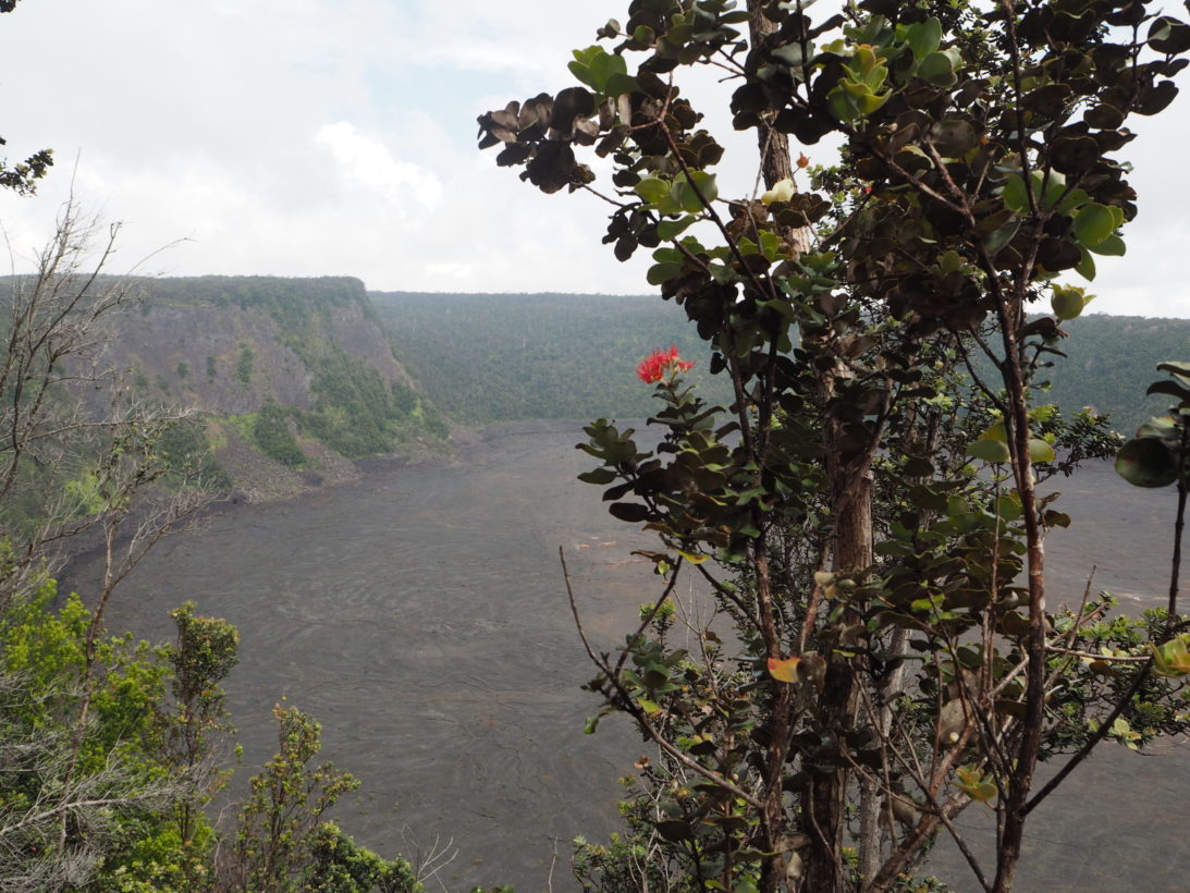 Volcanoes National Park Hawaii