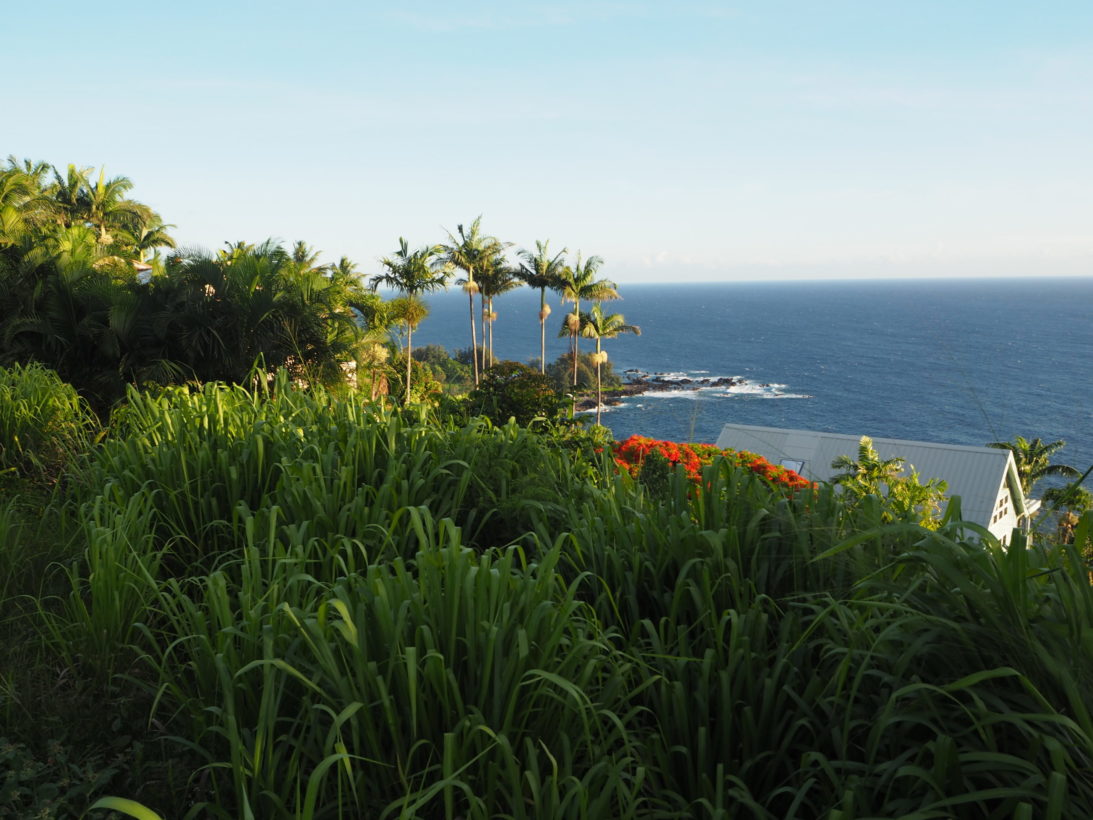 Hawaii Reisebericht Ostküste Oahu