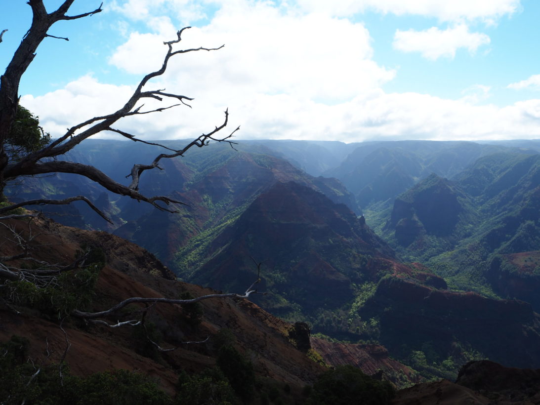 Waimea Canyon