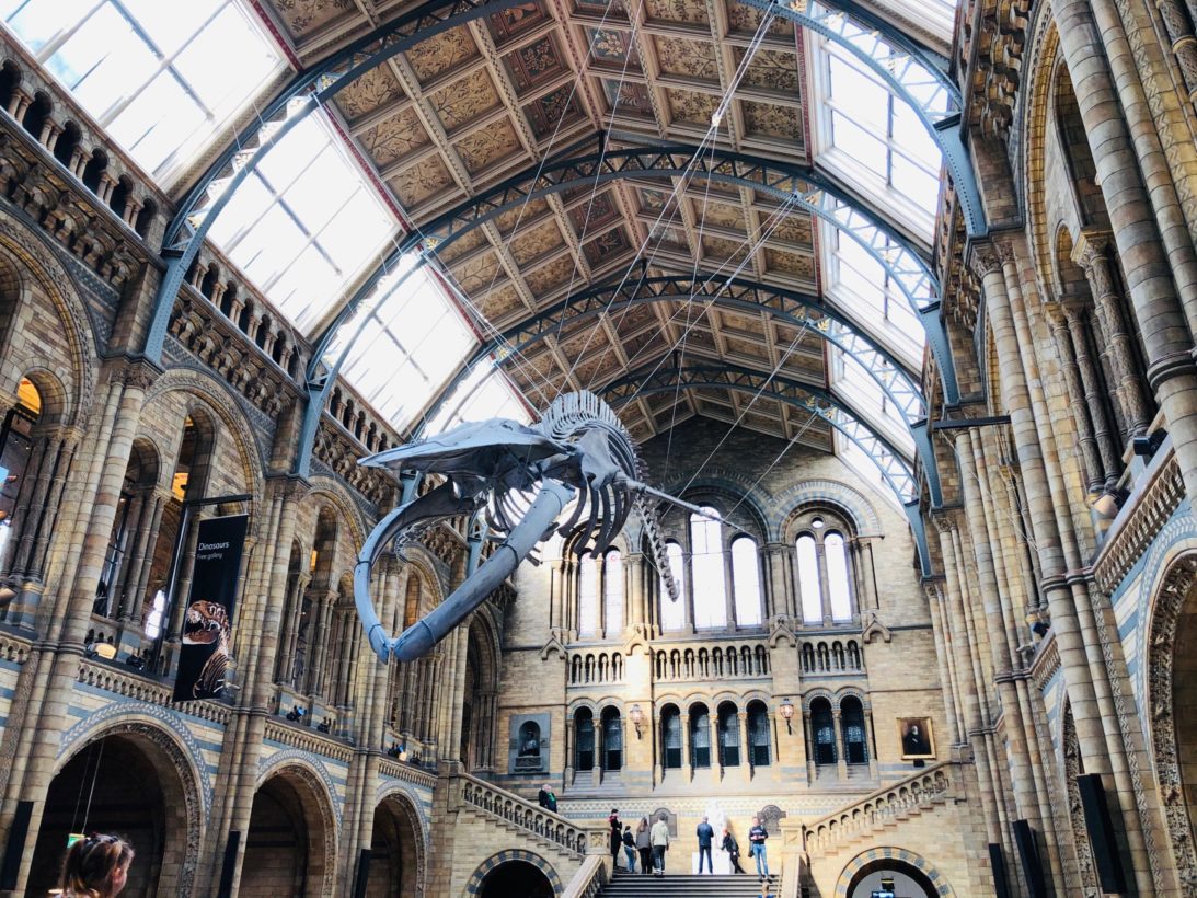 Natural History Museum London