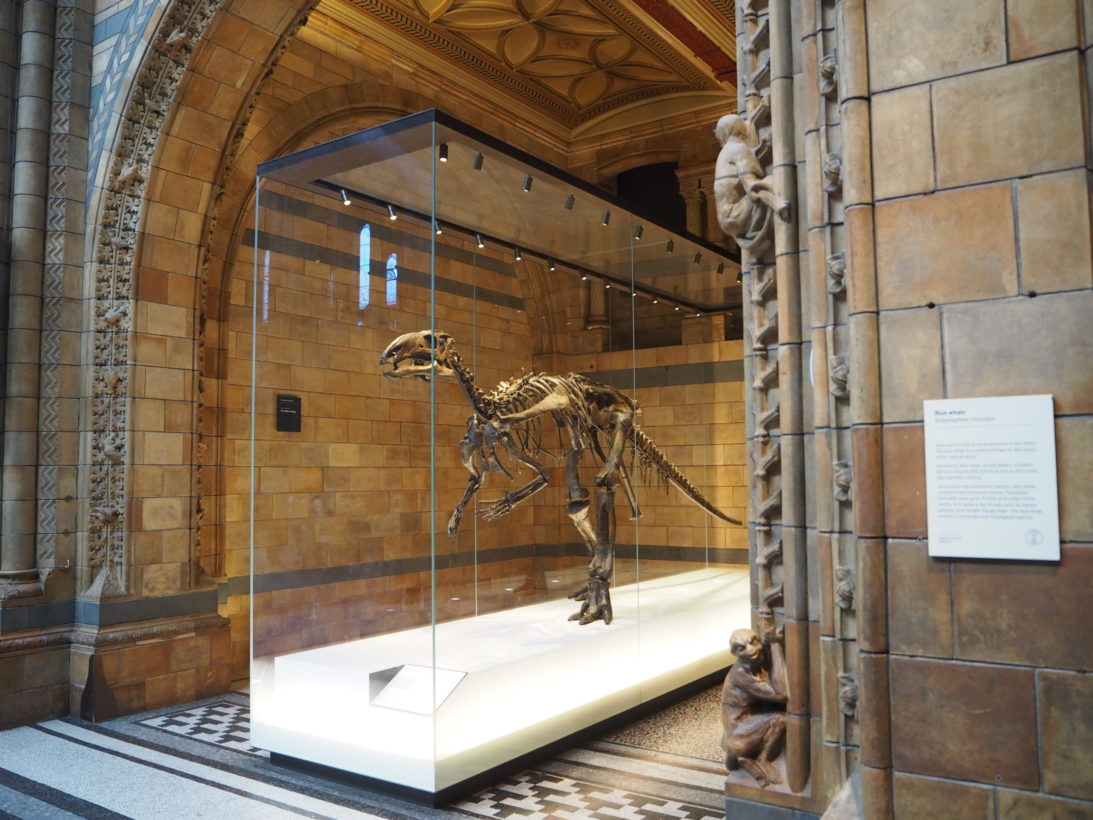 Natural History Museum