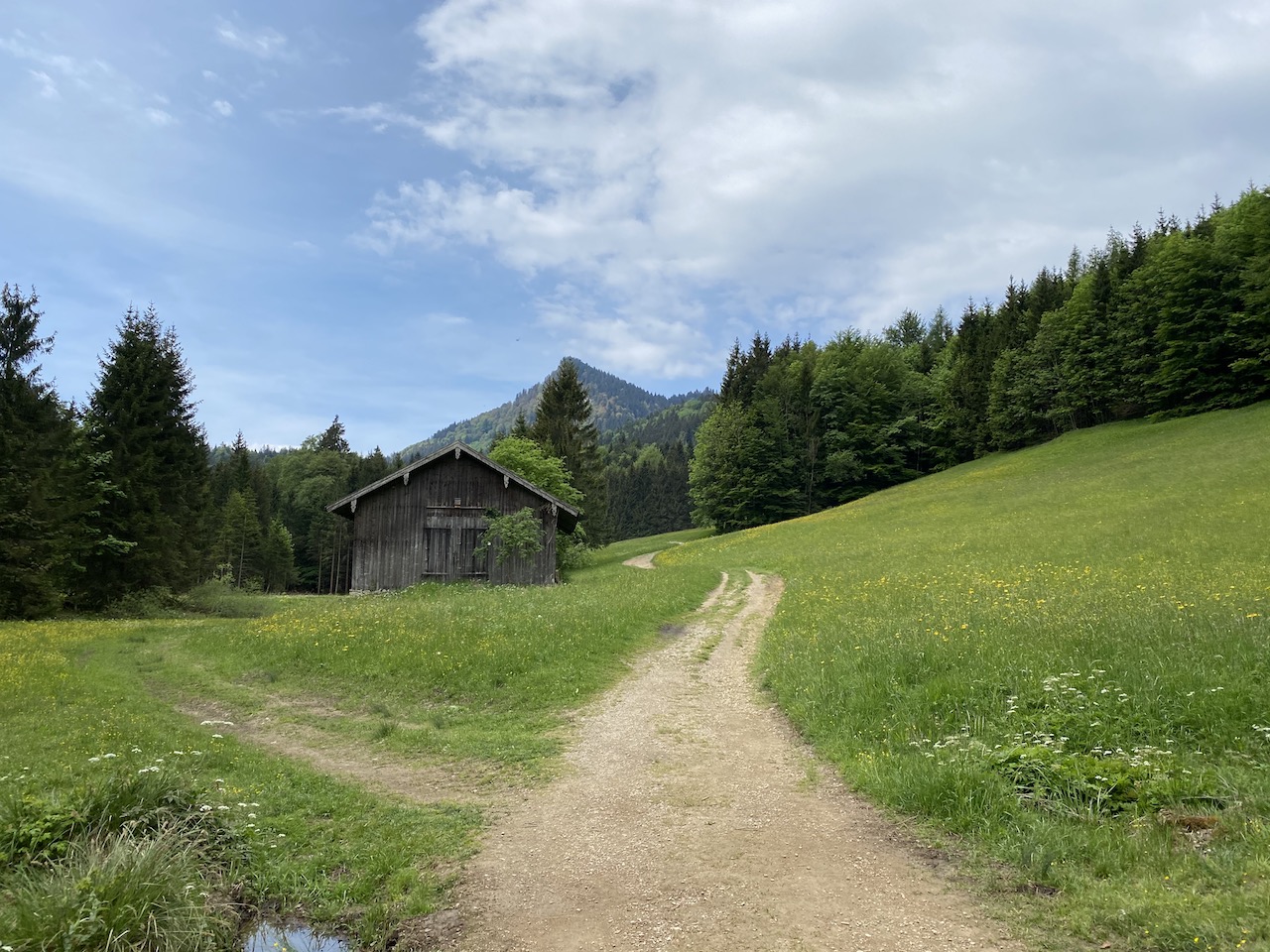 Lichtung beim Aufstieg zum Heuberg