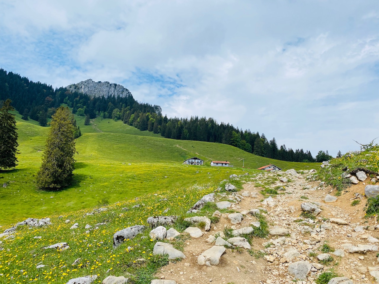 Daffnerwald Almen Heuberg