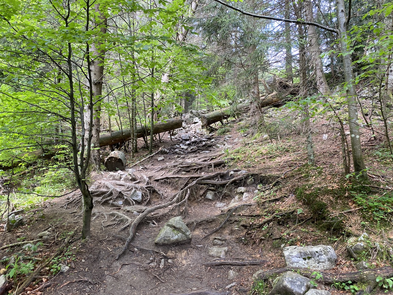 Wanderung Heuberg