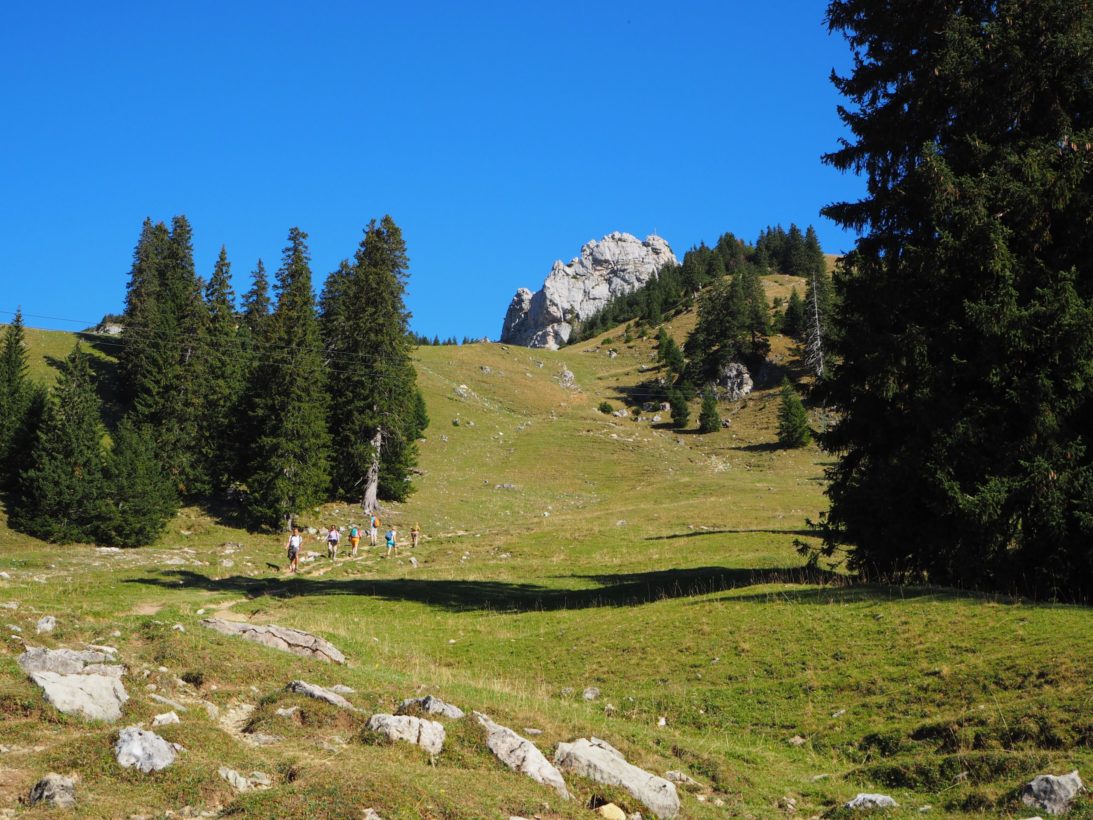 Wanderweg auf den Wendelstein