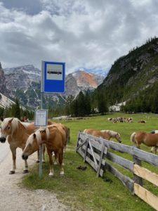 Parkplatz Brückele