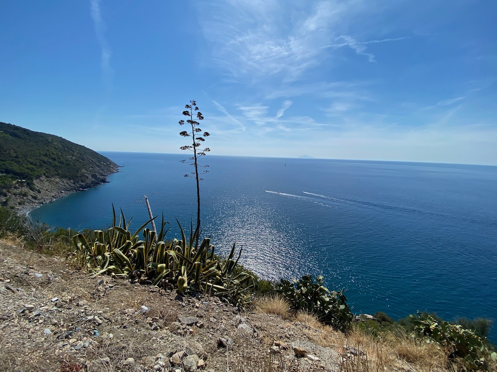 Schöner Ausblick auf das Meer 