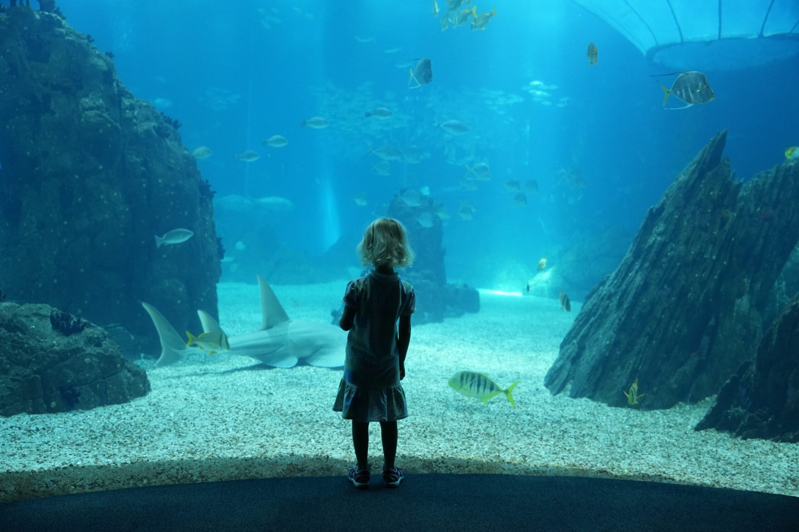 Lissabon mit Kindern im Aquarium