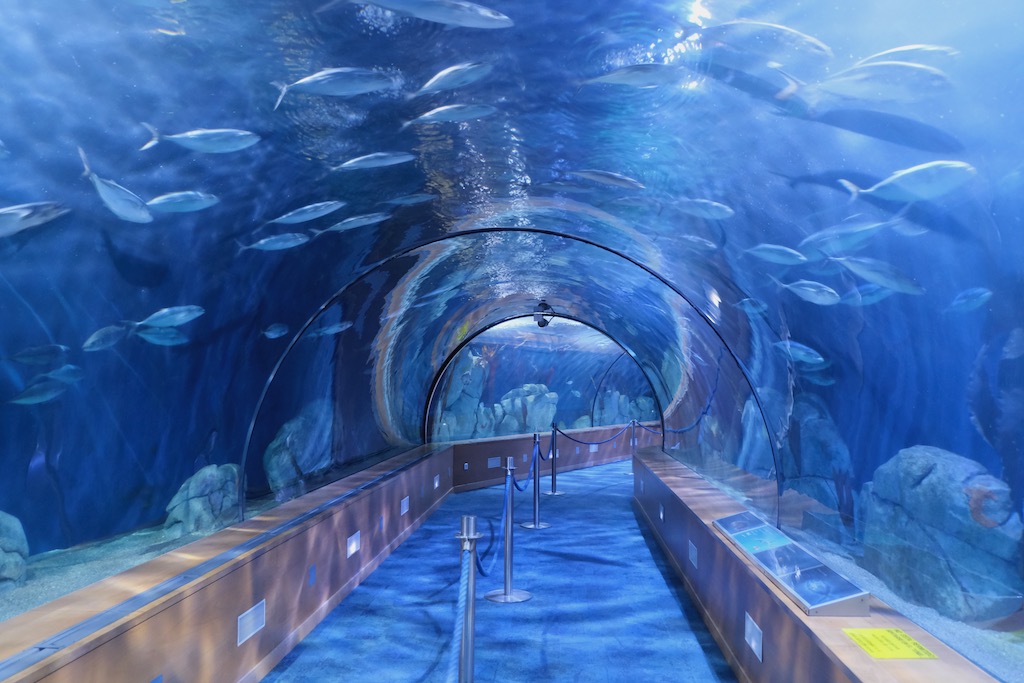 Aquarium Valencia 
