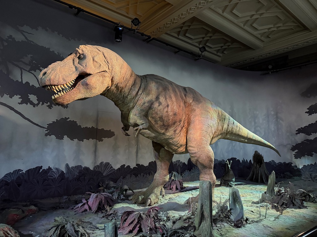 T-Rex im Natural History Museum London