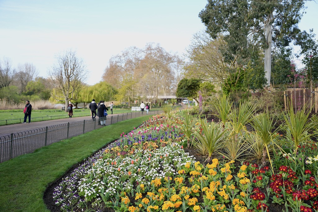 Ein toller Spaziergang zum Buckingham Palace durch den St. James Park