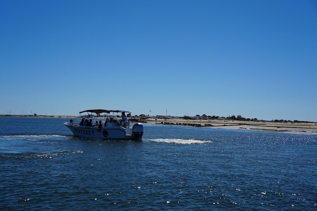 Mit dem Boot vor Sandbänken und Muschelsuchern
